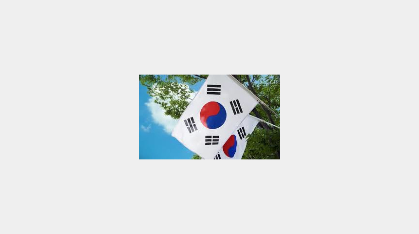 Дистрибуция товаров из Кореи | Бизнес-портал InvestStarter