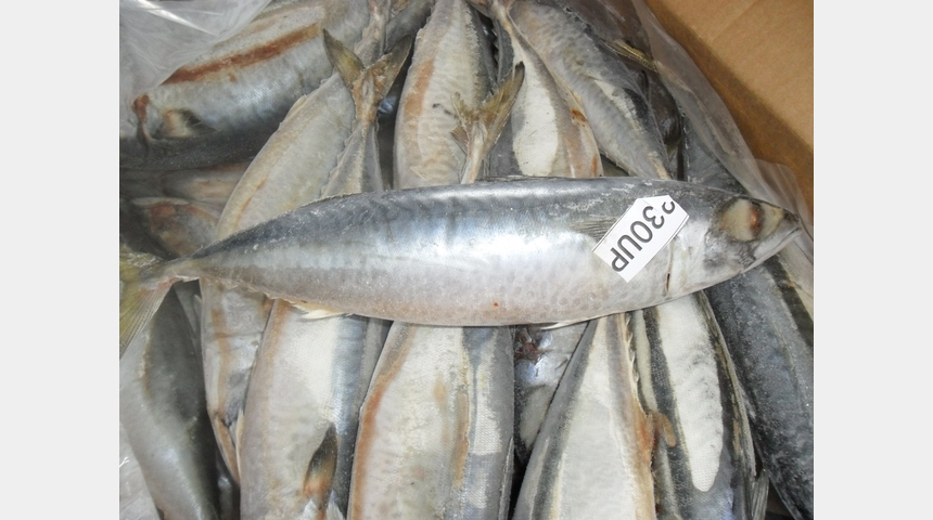 Предприятие по производству консервы рыбной и морепродуктов. | Бизнес-портал InvestStarter